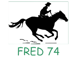 Logo 24